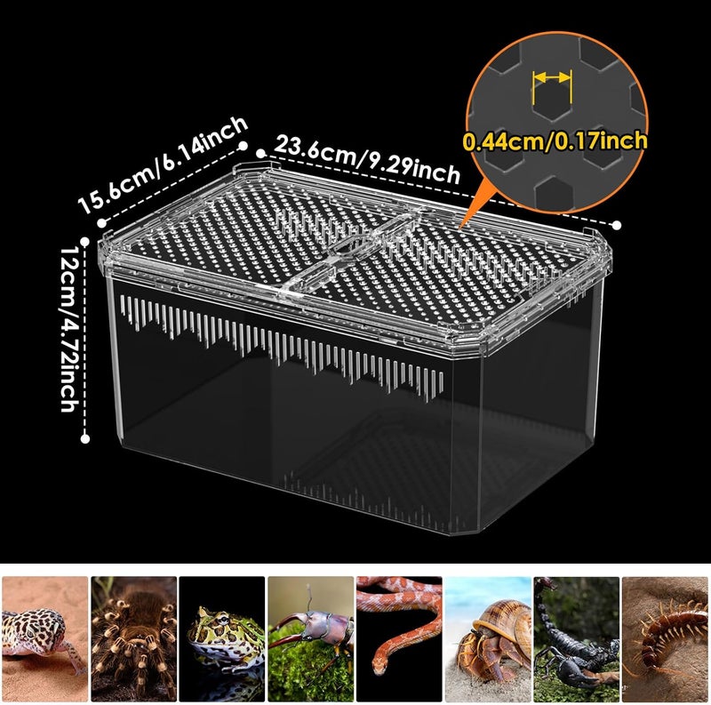 NOMOY 【No Assembly】 Breathable and Secure Reptile Tank with high Transparency - Ideal Container House for Hermit Crab, Tarantula Enclosure, Turtle Tank or Jumping Spider Habitat (M) - Image 3